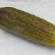 Pickled Gherkin.